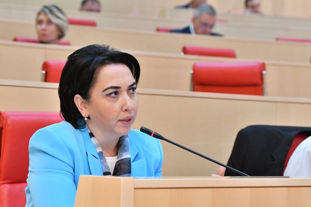 ეკა ბესელია: „საგამოძიებო კომისია, რომელიც უმრავლესობით დაკომპლექტდა „ევროპული საქართველოს“ წარმომადგენლებით, ასეთი არ უნდა იყოს“