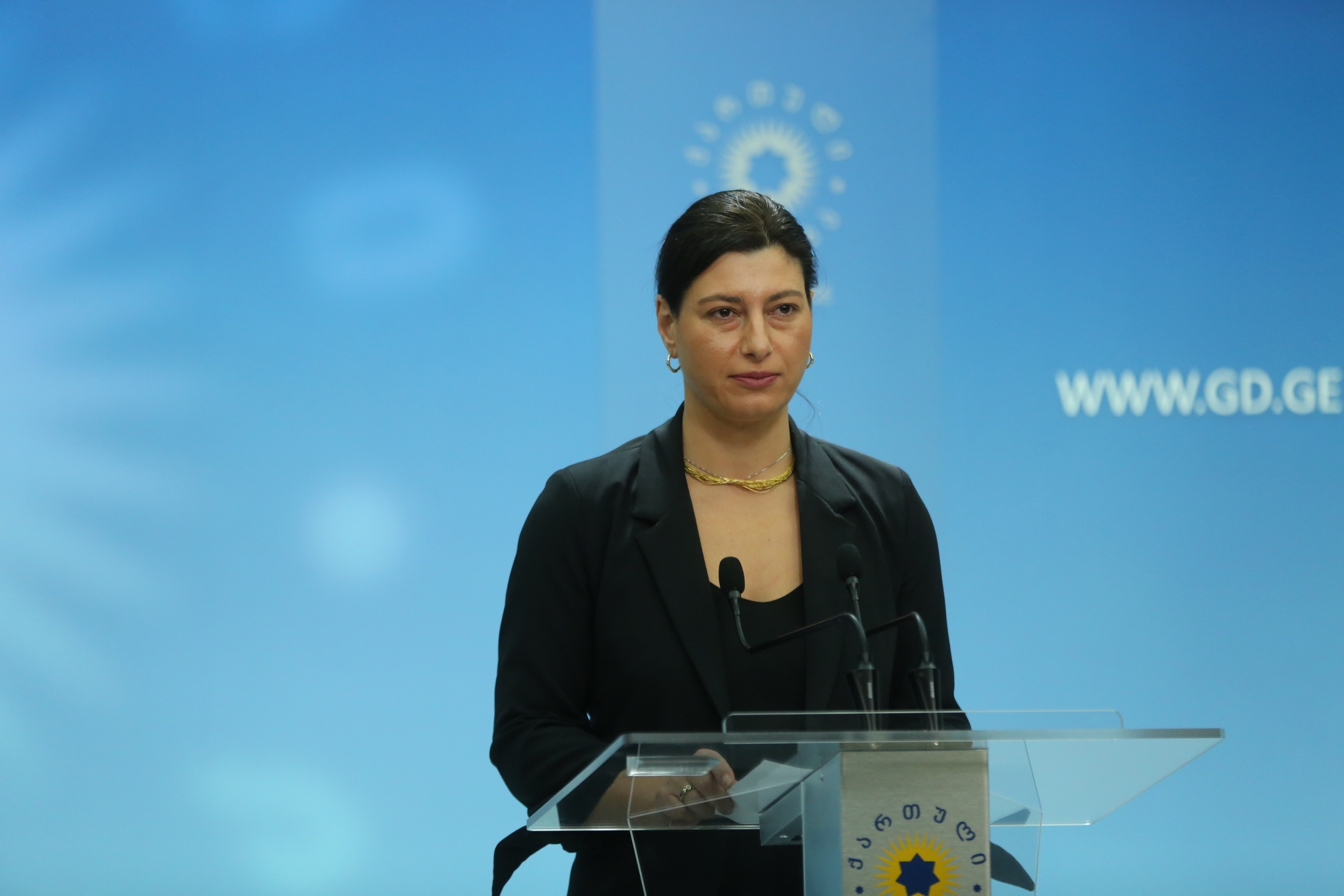 სოფიო ქაცარავა: „ნაციონალურ მოძრაობას“, „რუსთავი 2“-ის დახმარებით, დაწყებული აქვს მორიგი ბინძური კამპანია საზღვარგარეთ მცხოვრები ჩვენი მოქალაქეების წინაღმდეგ