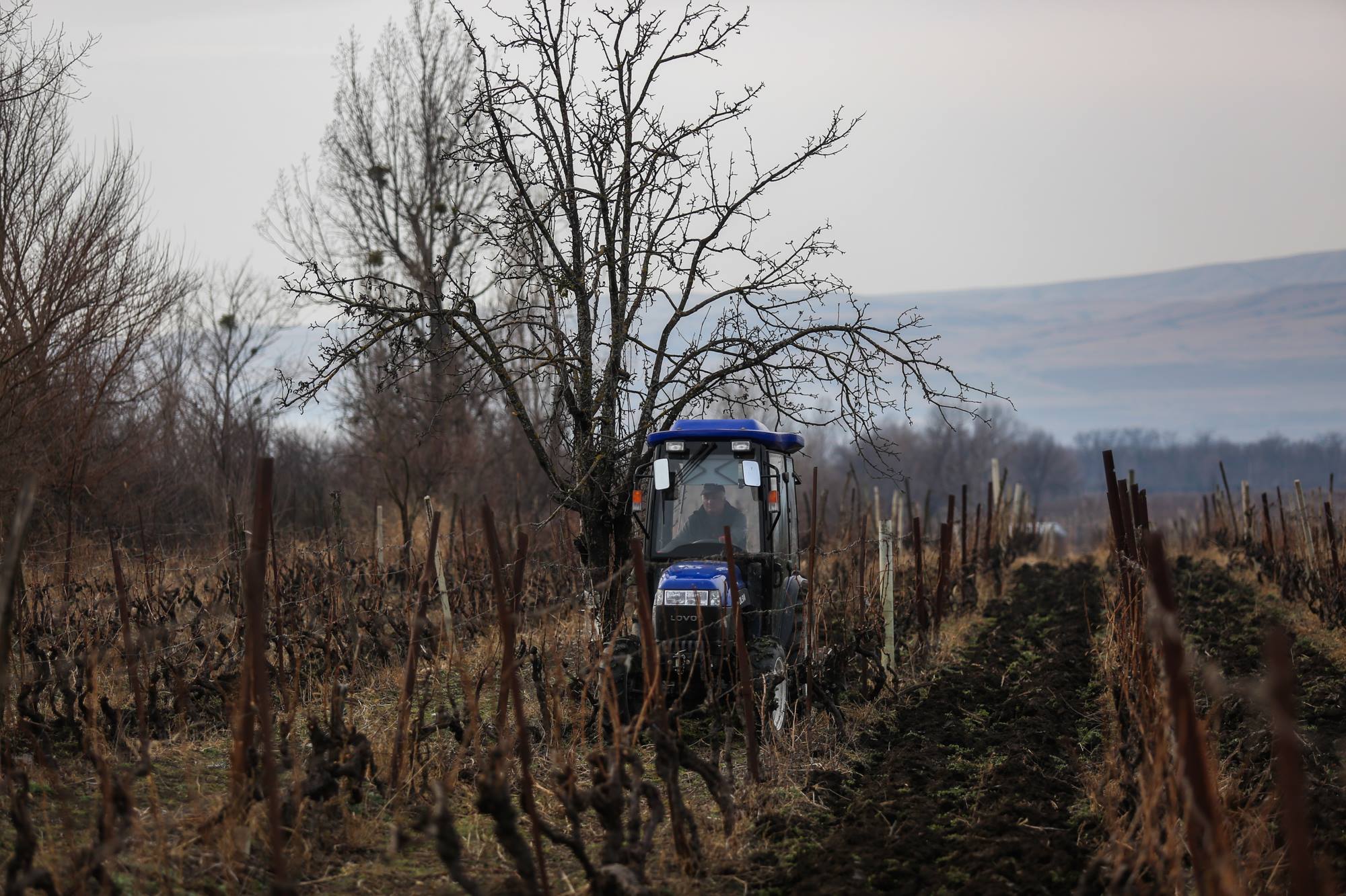 სოფლის მხარდაჭერის პროგრამის ბიუჯეტი გაორმაგდება