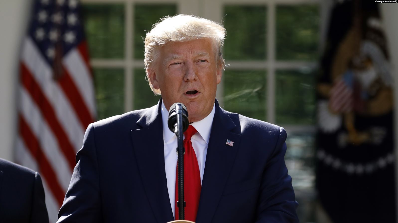 პრეზიდენტმა ტრამპმა საქართველოში ახალი ელჩის კანდიდატურა დაასახელა