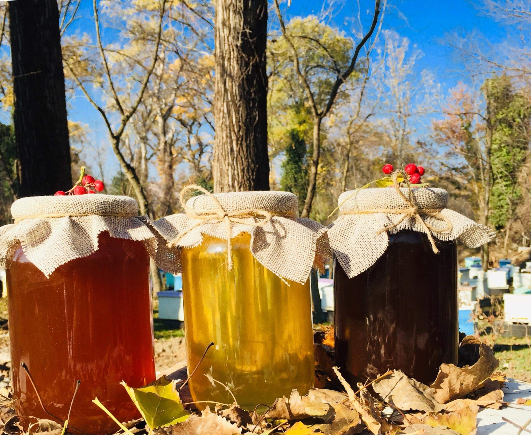 საქართველომ და ჩინეთმა ხელი მოაწერეს ქართული თაფლის ჩინეთის ბაზარზე განთავსების ნებართვას, ასევე უახლოეს თვეებში ფრინველის ხორცის განთავსების ოქმზე მოლაპარაკების დასრულებას